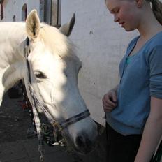 Connemara Nørlunds Petsy Bay *Petter* 1996-2012