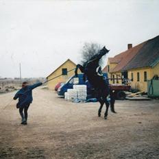 Oldenborg Strøgårdens Juvel