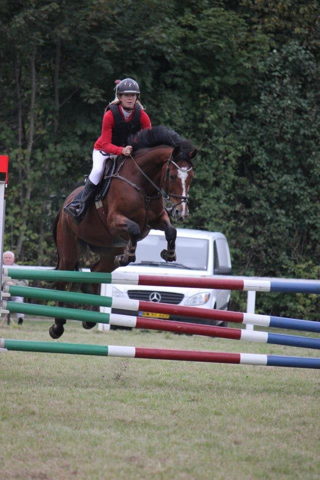 Selle Francais Katrine Del Sole billede 18