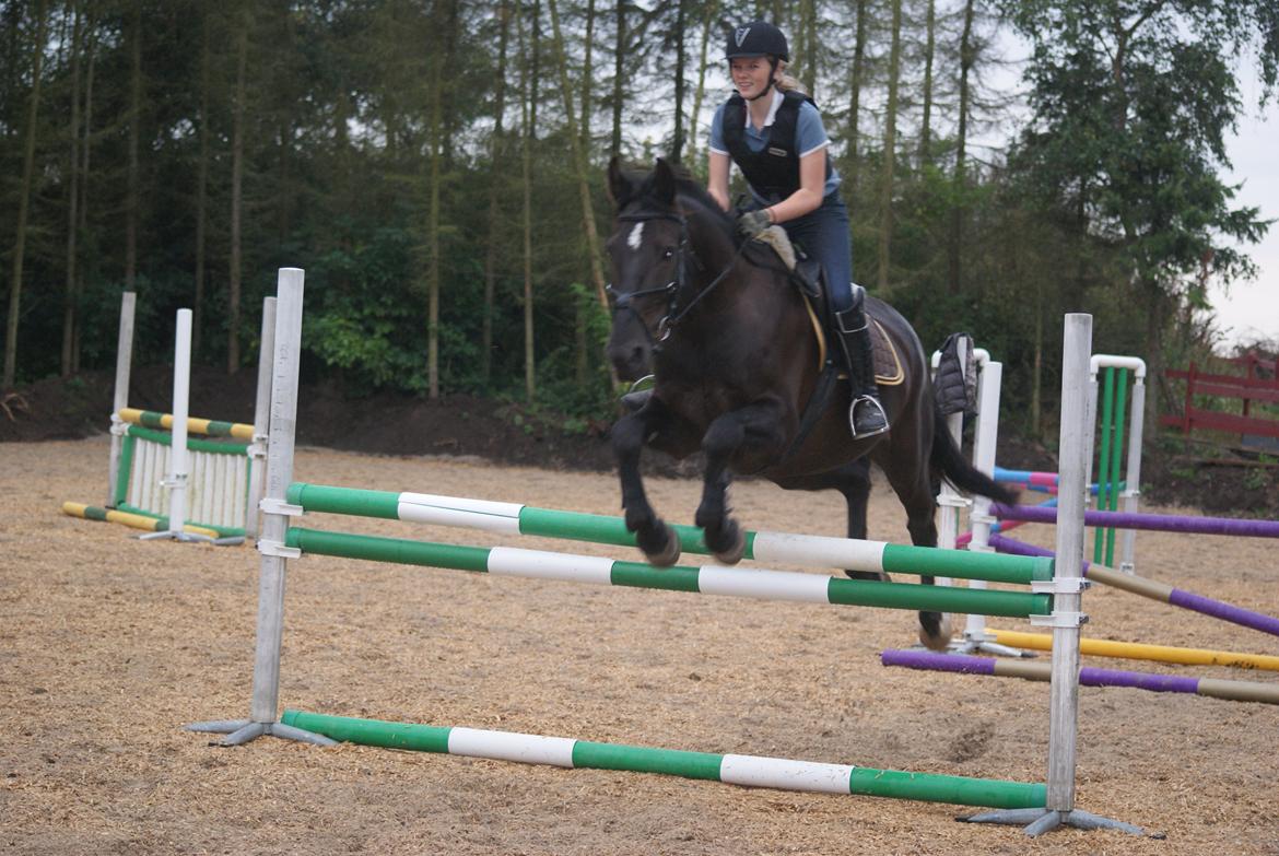 Oldenborg Noir  |Sorte| - Lodret på  1 meter :))) billede 2