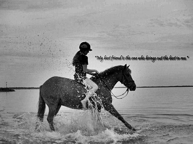 New Forest Foinix Dyrekjær - B-PONY! - - "My best friend is the one who brings out the best in me!" <3 Foto: Blidstrup Efterskole! billede 2