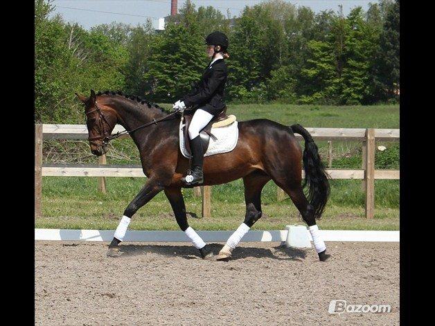 Westfaler Dolce Vita - Velkommen til Dolce Vita's profil!:-) billede 1