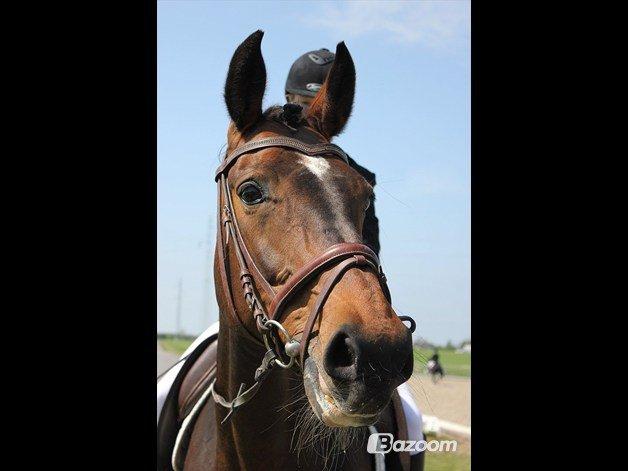 Westfaler Dolce Vita - Søde Vita<3
Tak fordi i kiggede med :-) billede 18