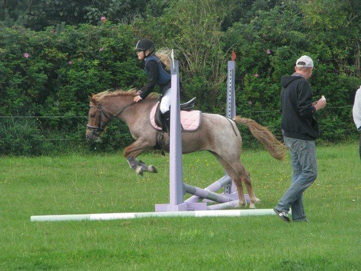 Anden særlig race Filia - Filia til Stævne i OTB billede 9