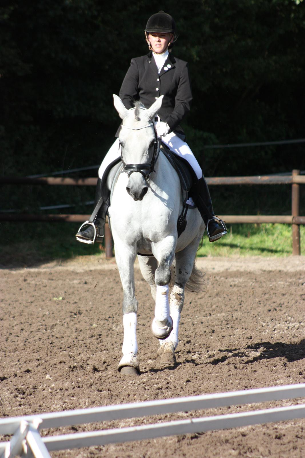 Branderburger Elektra billede 11