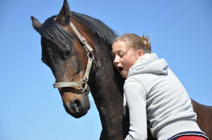 DSP Batman billede 1