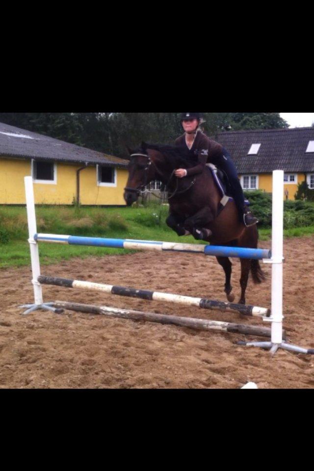 DSP Batman billede 2