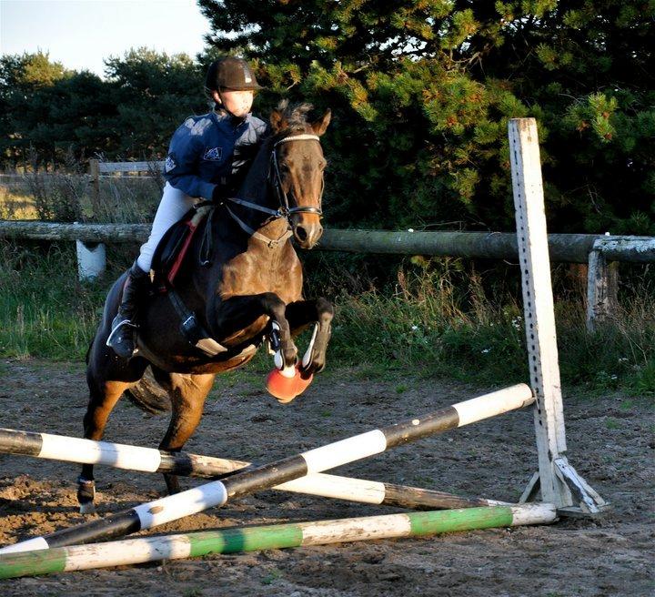 DSP Batman billede 4