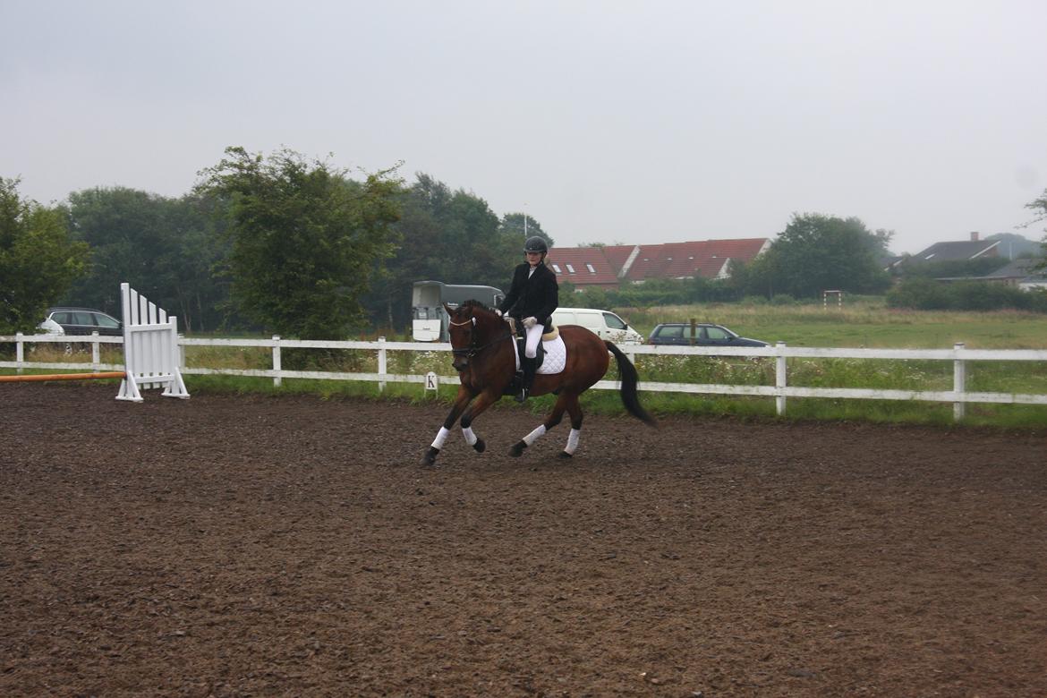 New Forest Twister MIT ET OG ALT :* <33333 billede 12