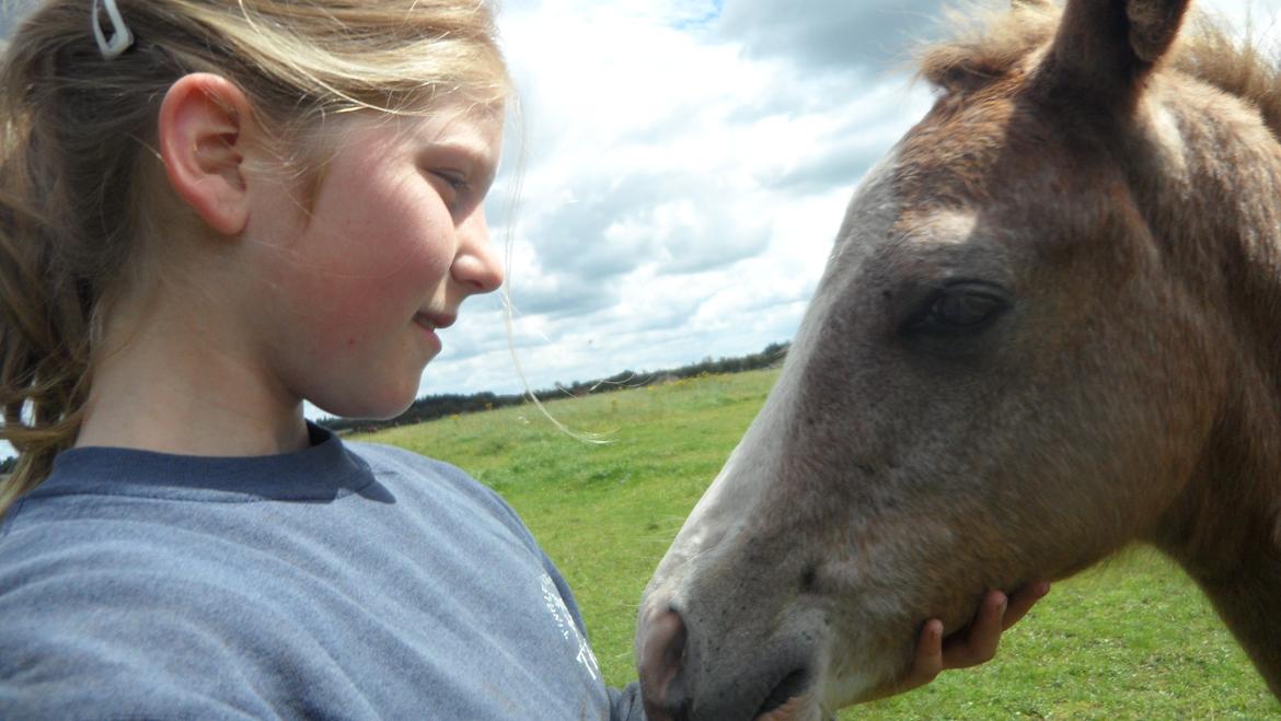 Anden særlig race Mini Max Af Rævbjerggaard billede 7
