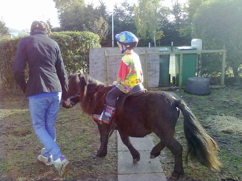 Miniature kim buller håber du har det godt<333333333 billede 10