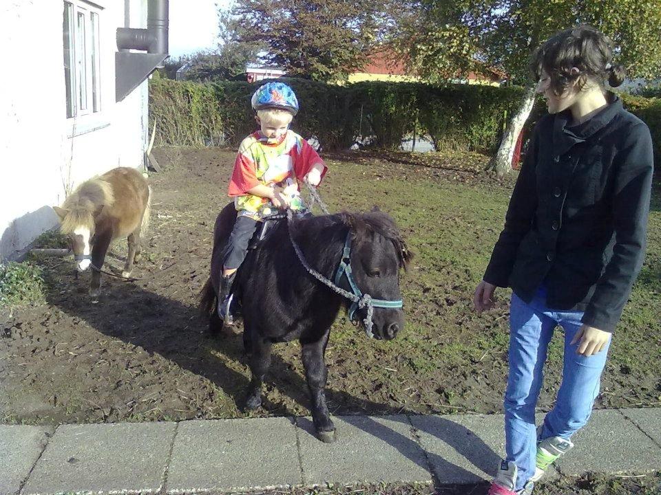 Miniature kim buller håber du har det godt<333333333 billede 11