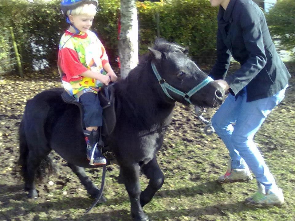 Miniature kim buller håber du har det godt<333333333 billede 12