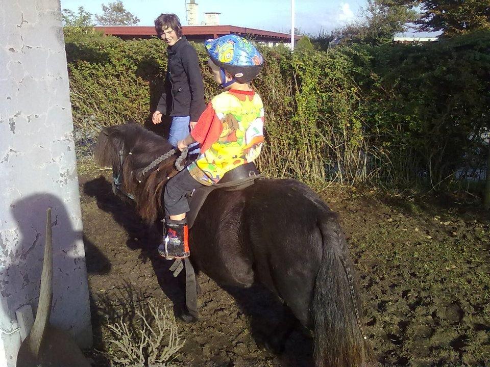 Miniature kim buller håber du har det godt<333333333 billede 14