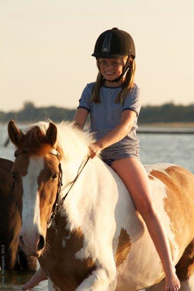 Hollandsk Sportspony Pablo P. (Nuttie) Solgt og savnet!!:'-( - (18) Min dejlige Nuttie på stranden<3<3 Foto: Ptorngaard billede 13