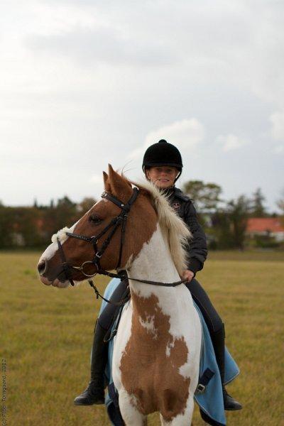 Hollandsk Sportspony Pablo P. (Nuttie) Solgt og savnet!!:'-( - (19) Jeg elsker dig min elskede pony!!<3<3 Foto: Ptorngaard billede 14