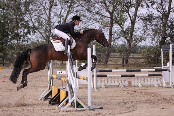 Anden særlig race Mickey Rex billede 4