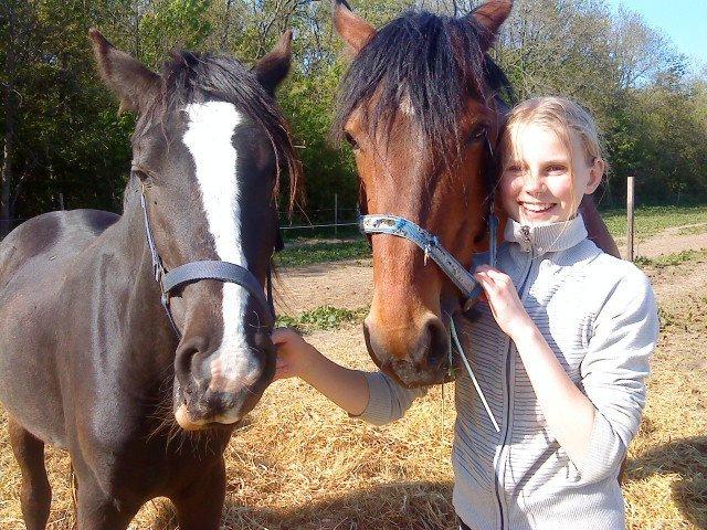 Anden særlig race Tambi billede 3