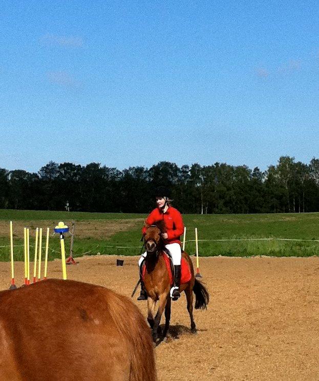 Gotlandsruss Julie (Dulle) - Pony games træning(: billede 3