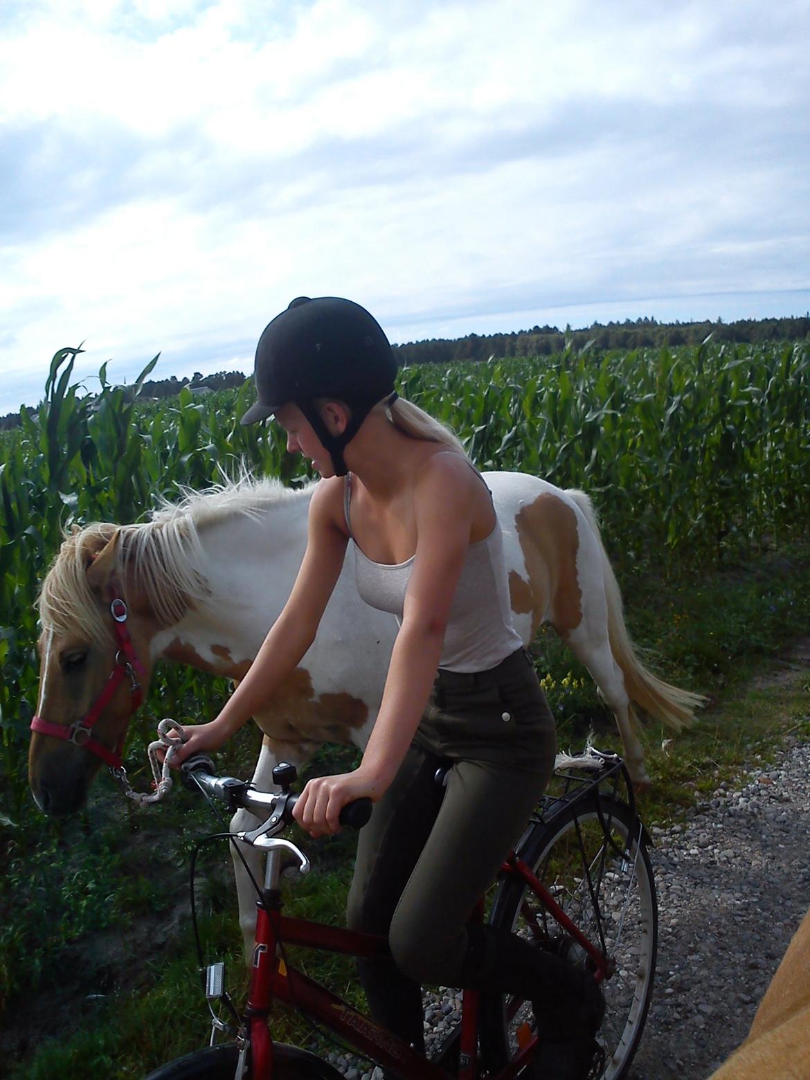 Anden særlig race Sønderstrandens Cola - På cykeltur med Müssa<3 billede 19