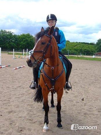 DSP Malou - Pause i spring træningen :)
 billede 13