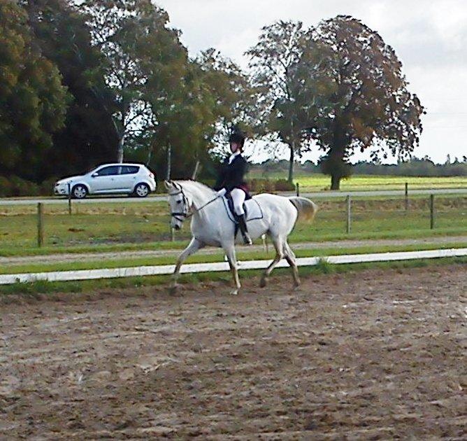 Anden særlig race Just My Luck - Lucky og mig i LC3 billede 1