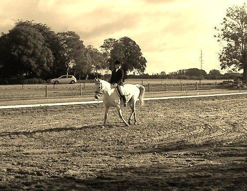 Anden særlig race Just My Luck billede 10