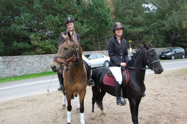 Anden særlig race Engholms Bueno Agate billede 3