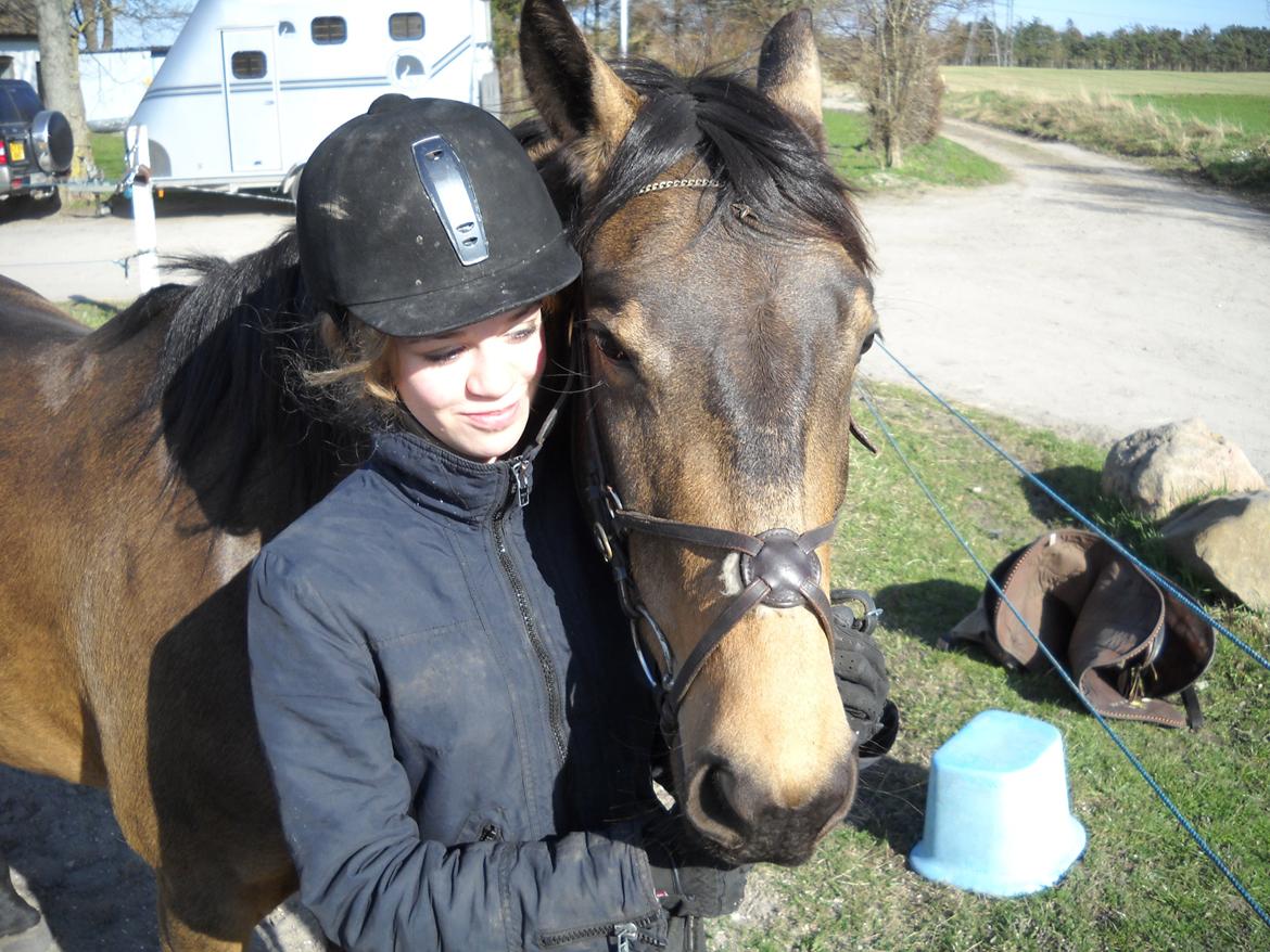 Anden særlig race Engholms Bueno Agate billede 8