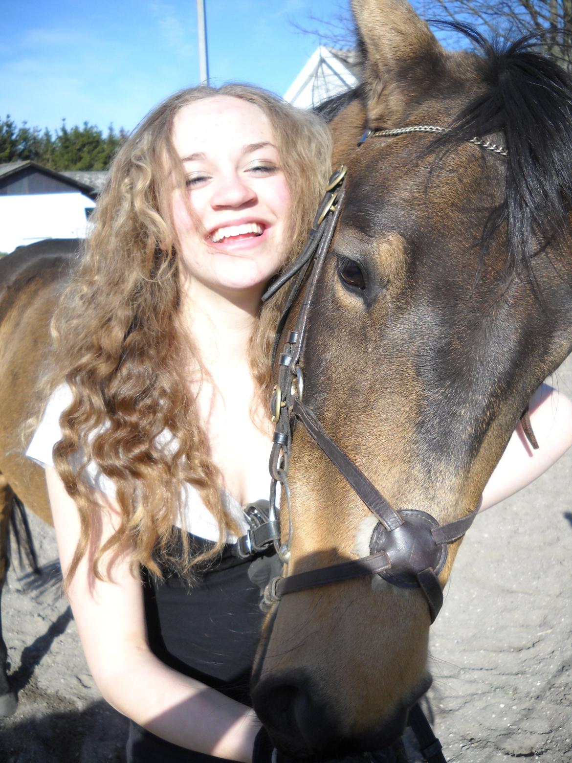 Anden særlig race Engholms Bueno Agate billede 9