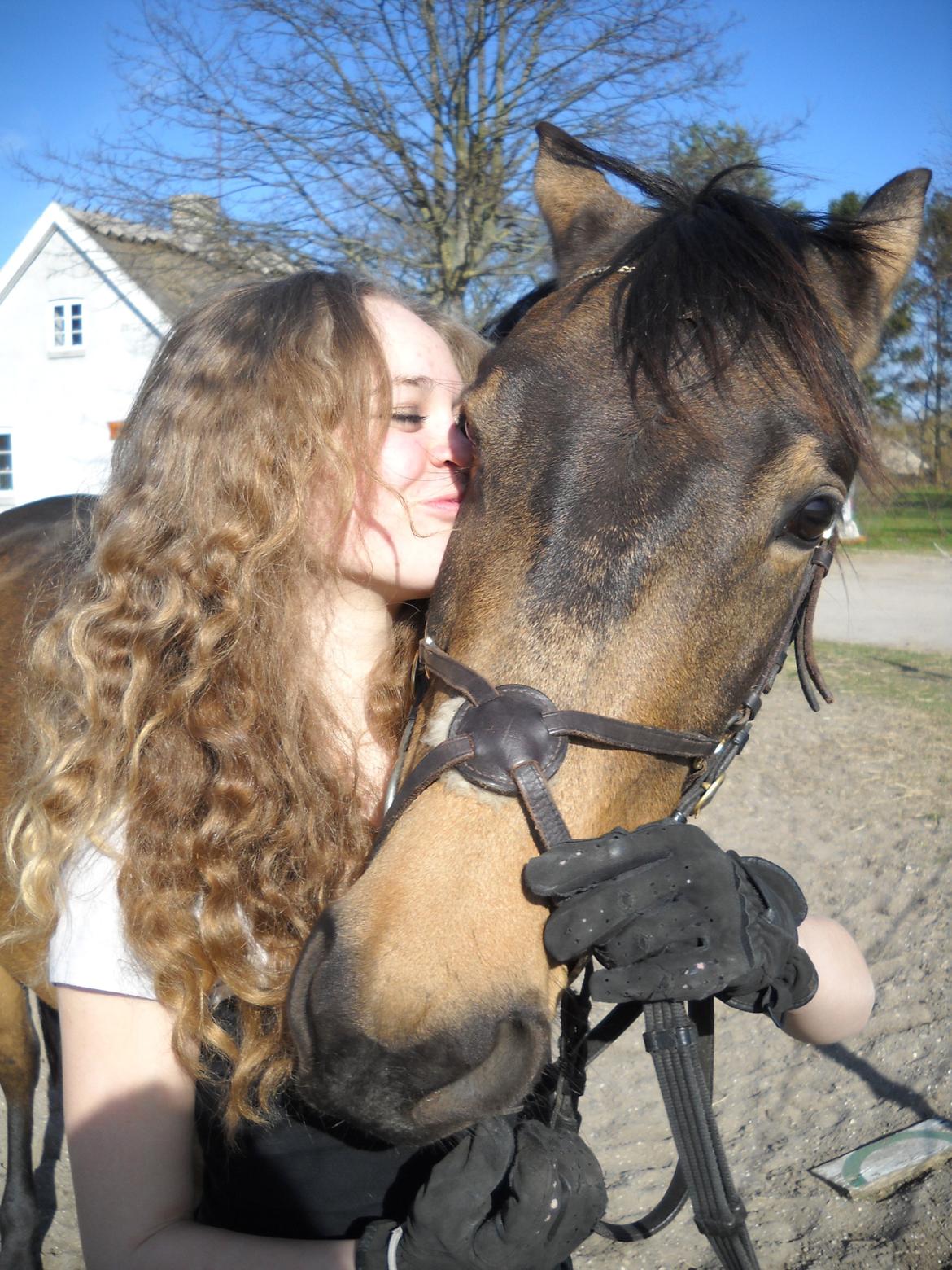 Anden særlig race Engholms Bueno Agate billede 10