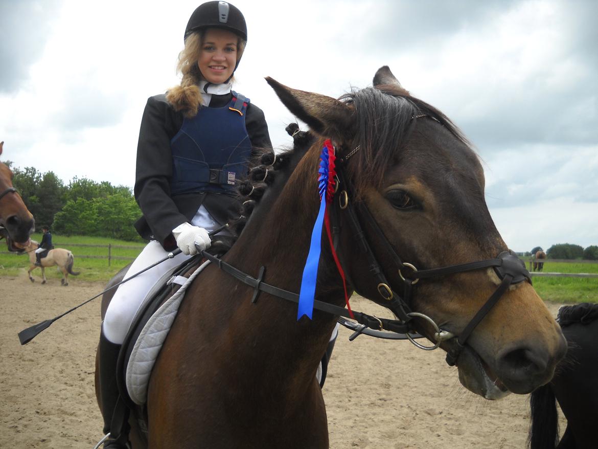 Anden særlig race Engholms Bueno Agate billede 13