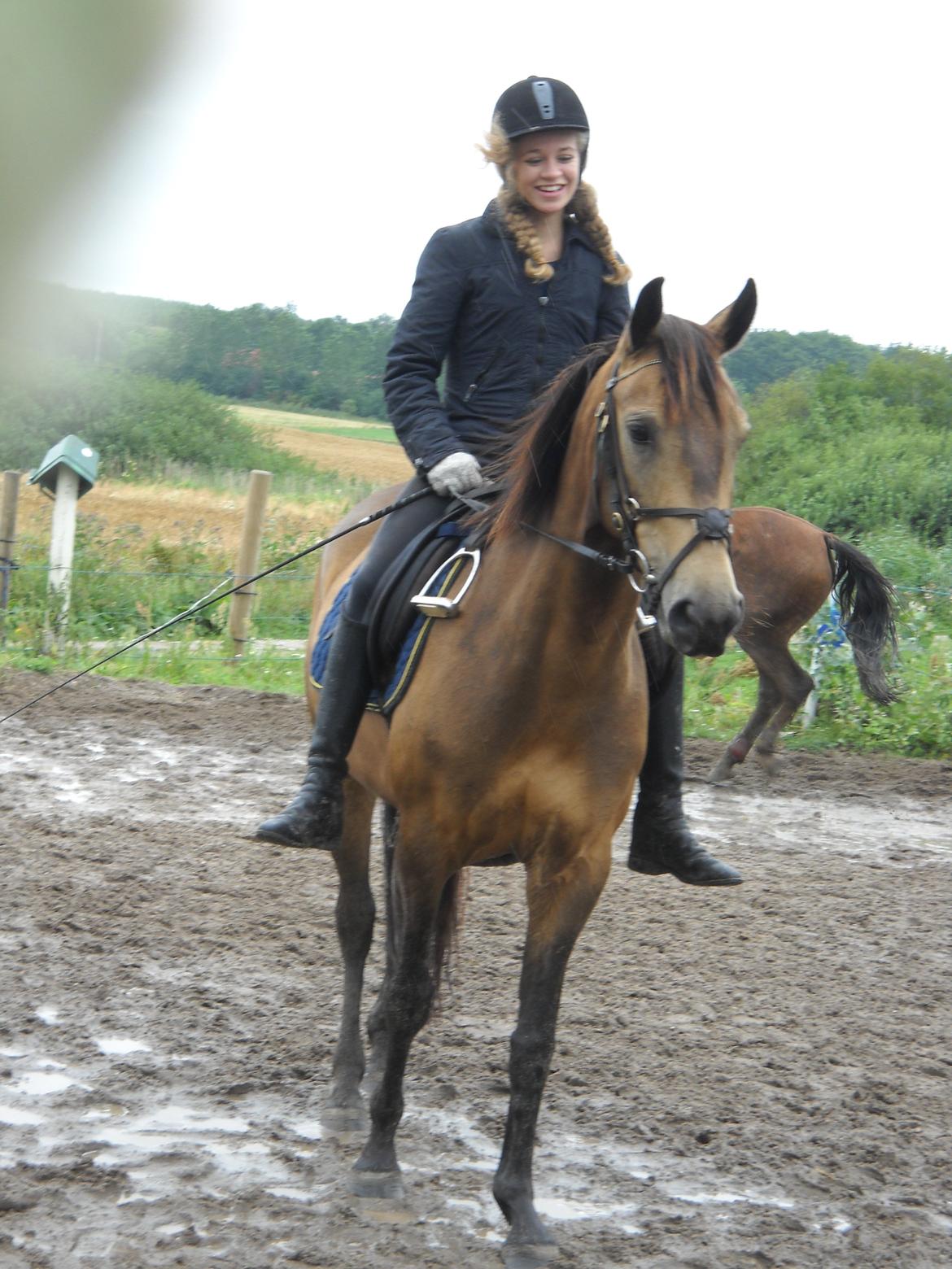 Anden særlig race Engholms Bueno Agate billede 16