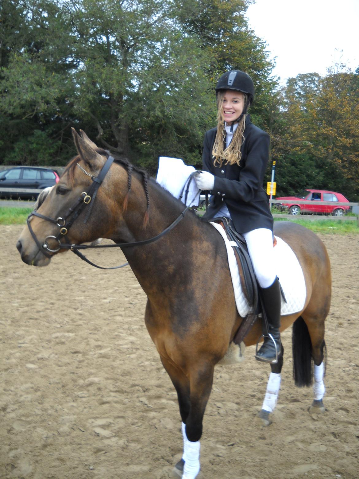 Anden særlig race Engholms Bueno Agate billede 17