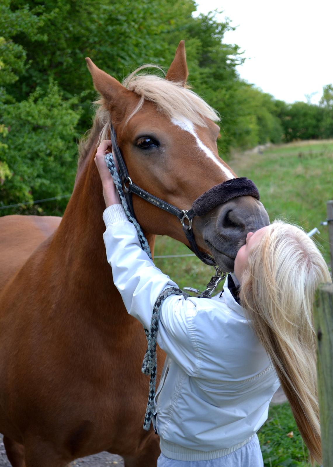 Anden særlig race Liane 154 * *Himmelhest** - Den sidste dag.
- Altid elsket! billede 20