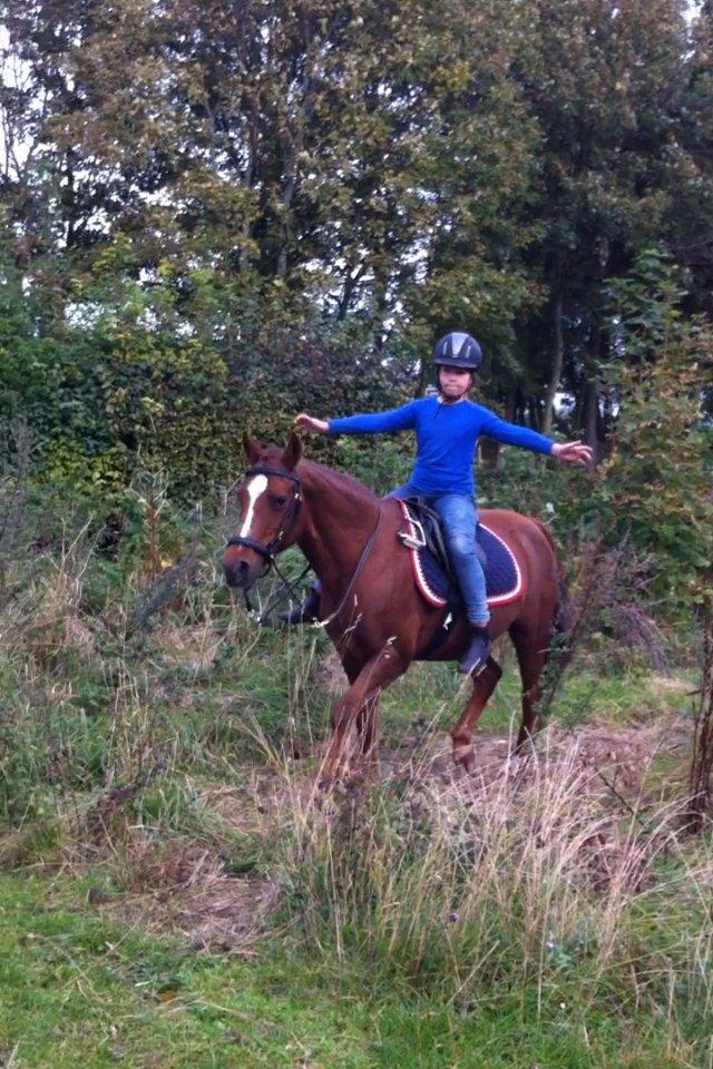 DSP Cherry Cheval - jeg elsker dig skat:*
 billede 16