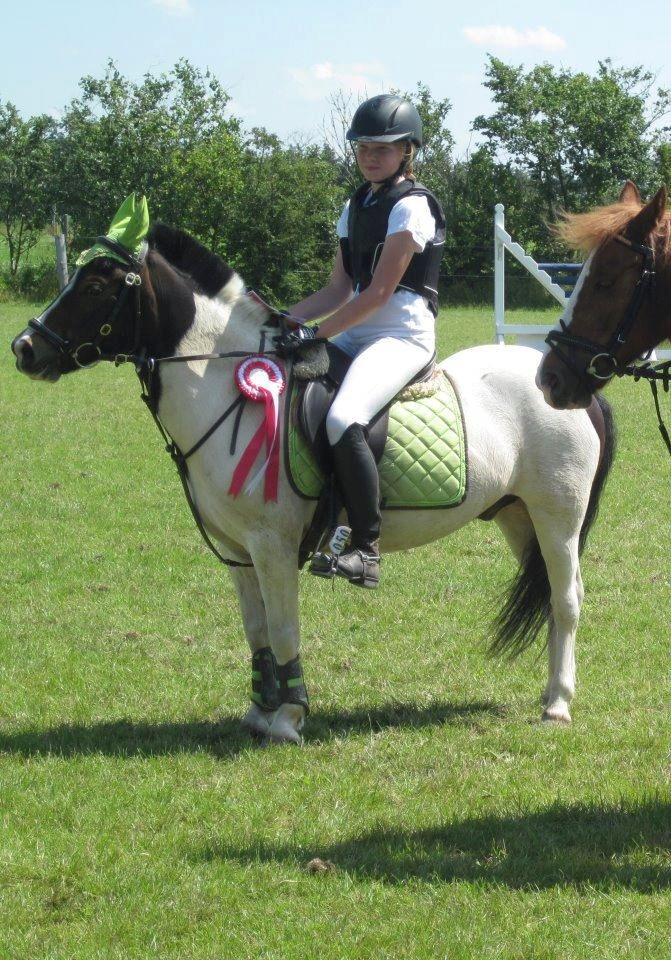 Anden særlig race Magnum<3 billede 19