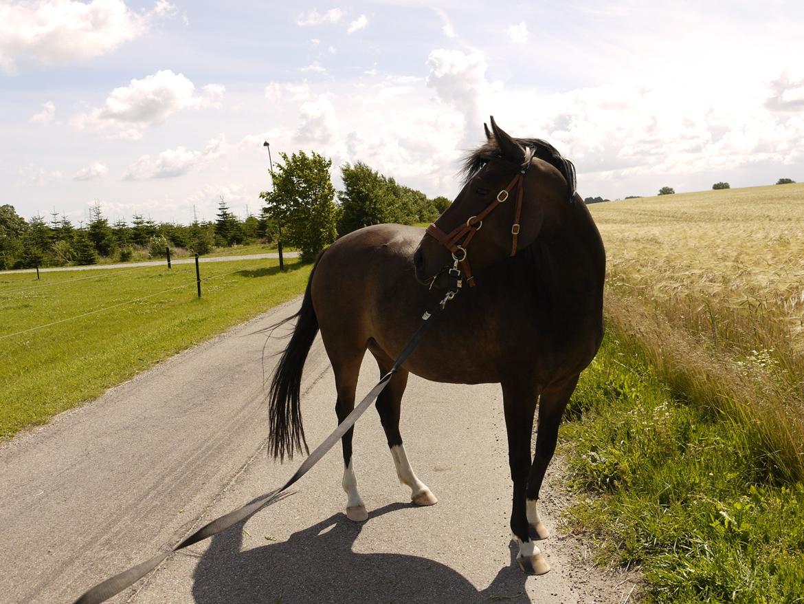 DSP Caspara´s April billede 3