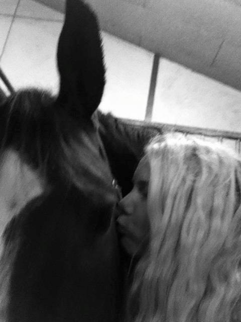 Dansk Varmblod Kærsholms Landkaster - Louises minde om Landkaster :-* billede 20