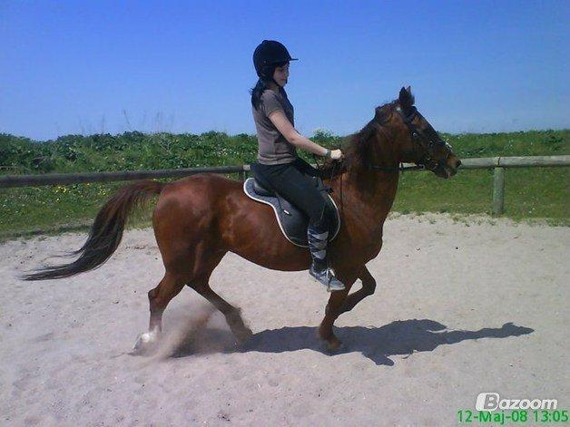 Traver N T Mahogny † billede 7