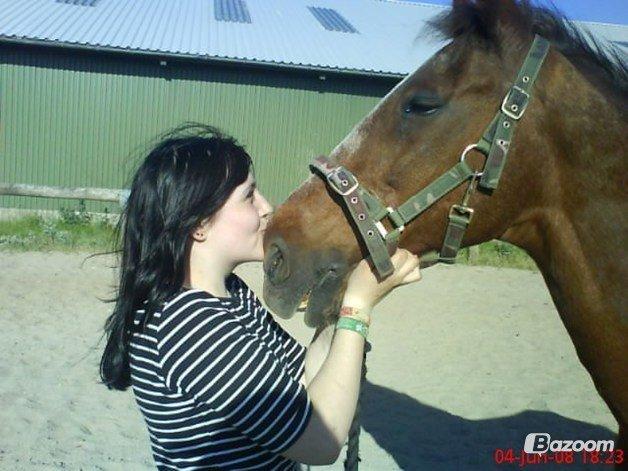 Traver N T Mahogny † billede 9