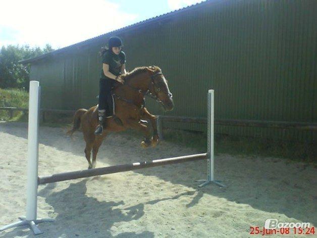 Traver N T Mahogny † billede 13