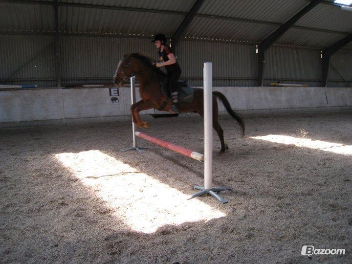 Traver N T Mahogny † billede 17