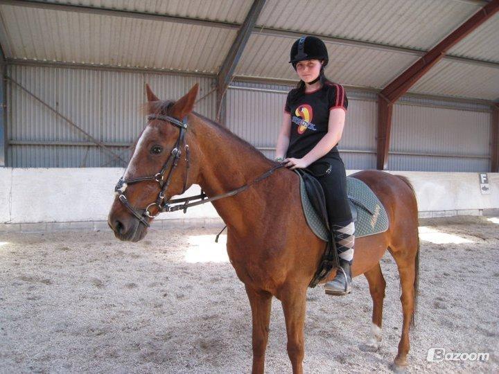 Traver N T Mahogny † billede 18