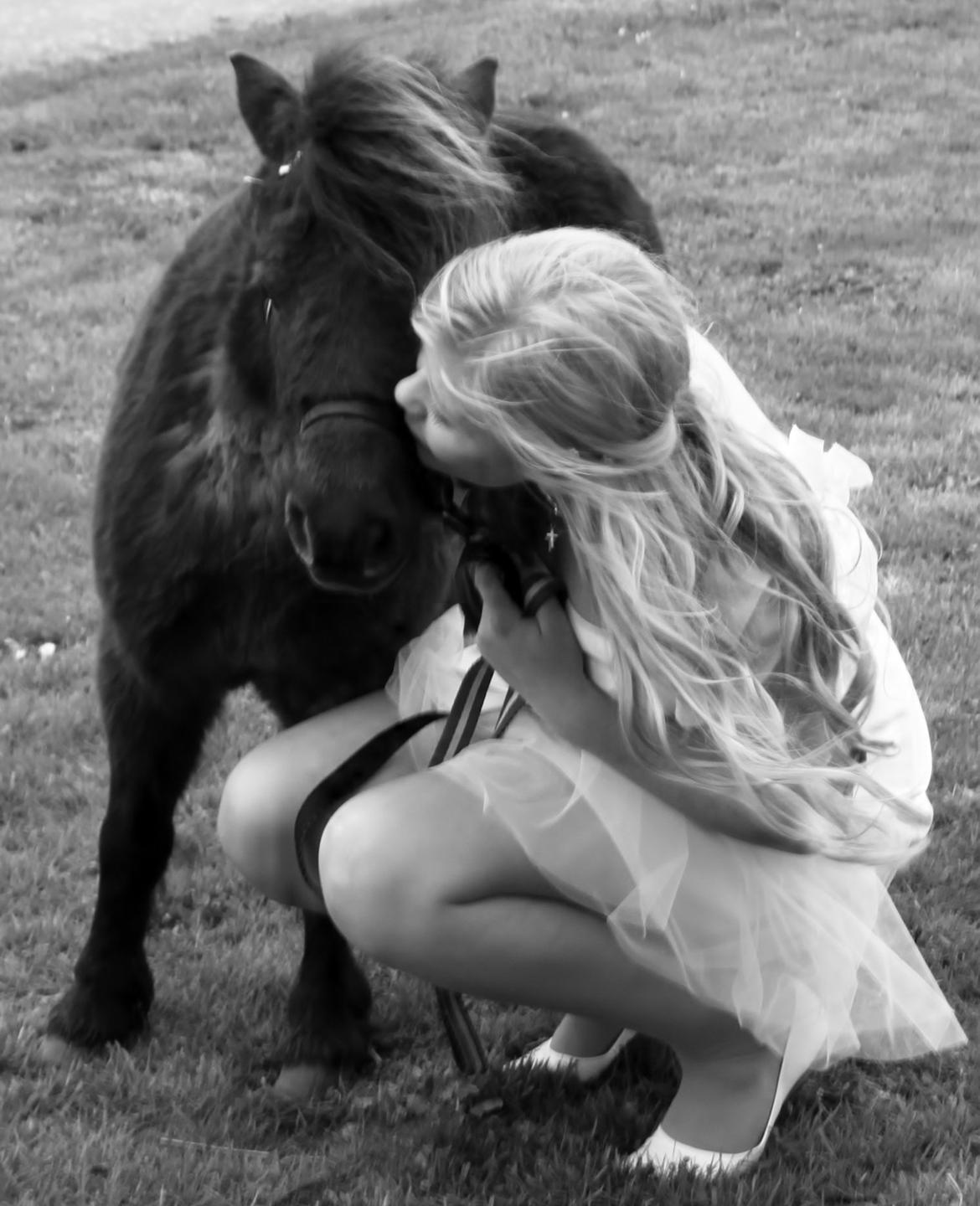 Dansk Miniature Allerupnords Queen - Konfimation 2012..<3 billede 12