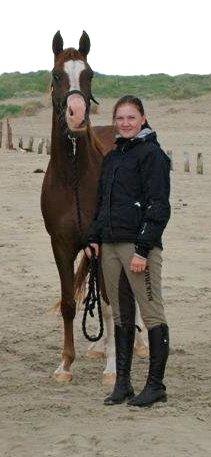 Arabisk fuldblod (OX) Tamson billede 1