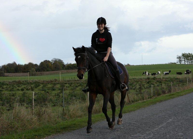 Hannoveraner Chanel " Gummibolden" - Fuld galop på vejen :-) billede 13