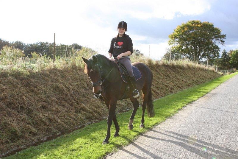 Hannoveraner Chanel " Gummibolden" billede 18