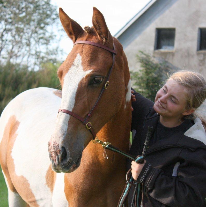 Pinto Global Spirit billede 6