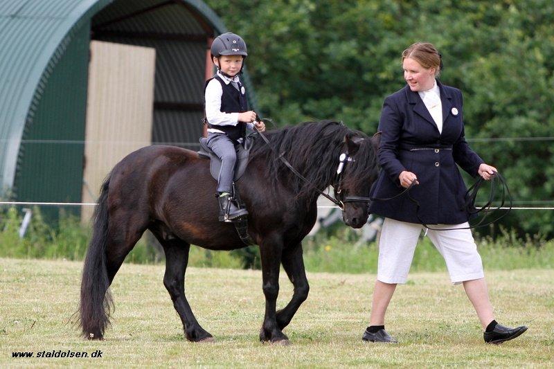 Dartmoor Feldholm's Doughty - M&M for Fun 2012 - Leading Rein billede 15